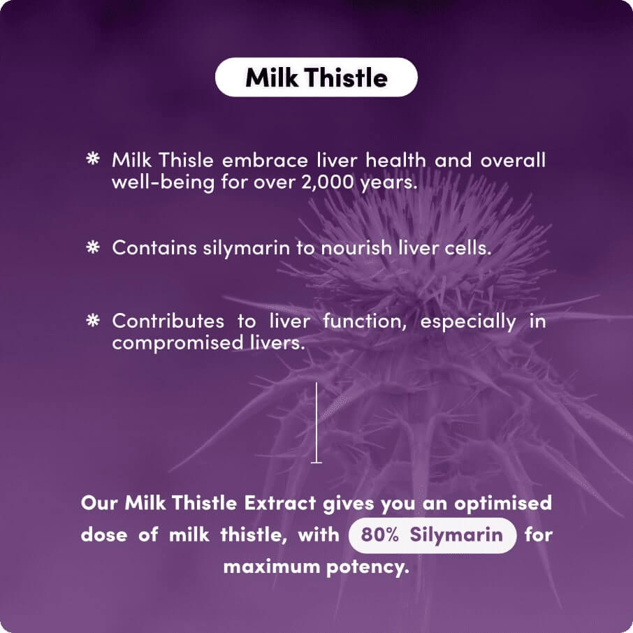 Milk Thistle Extract