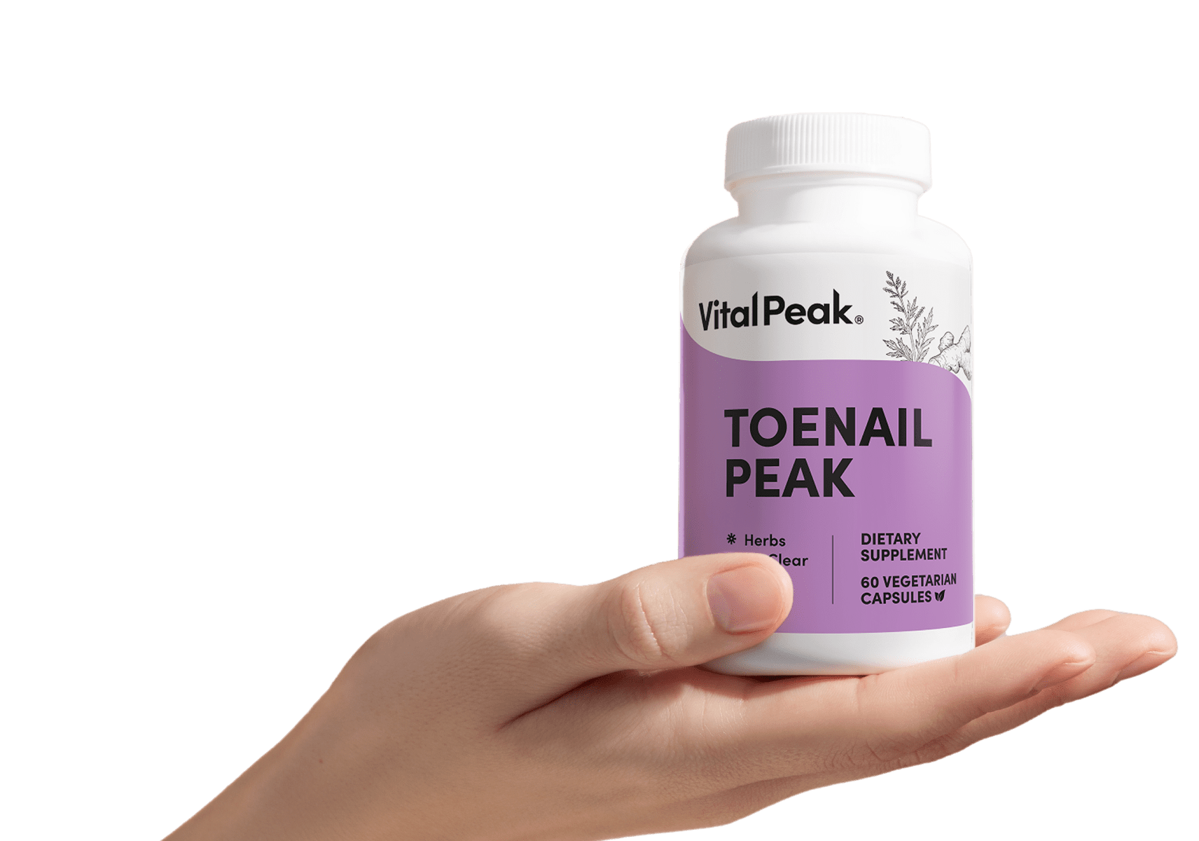 Toenail Peak
